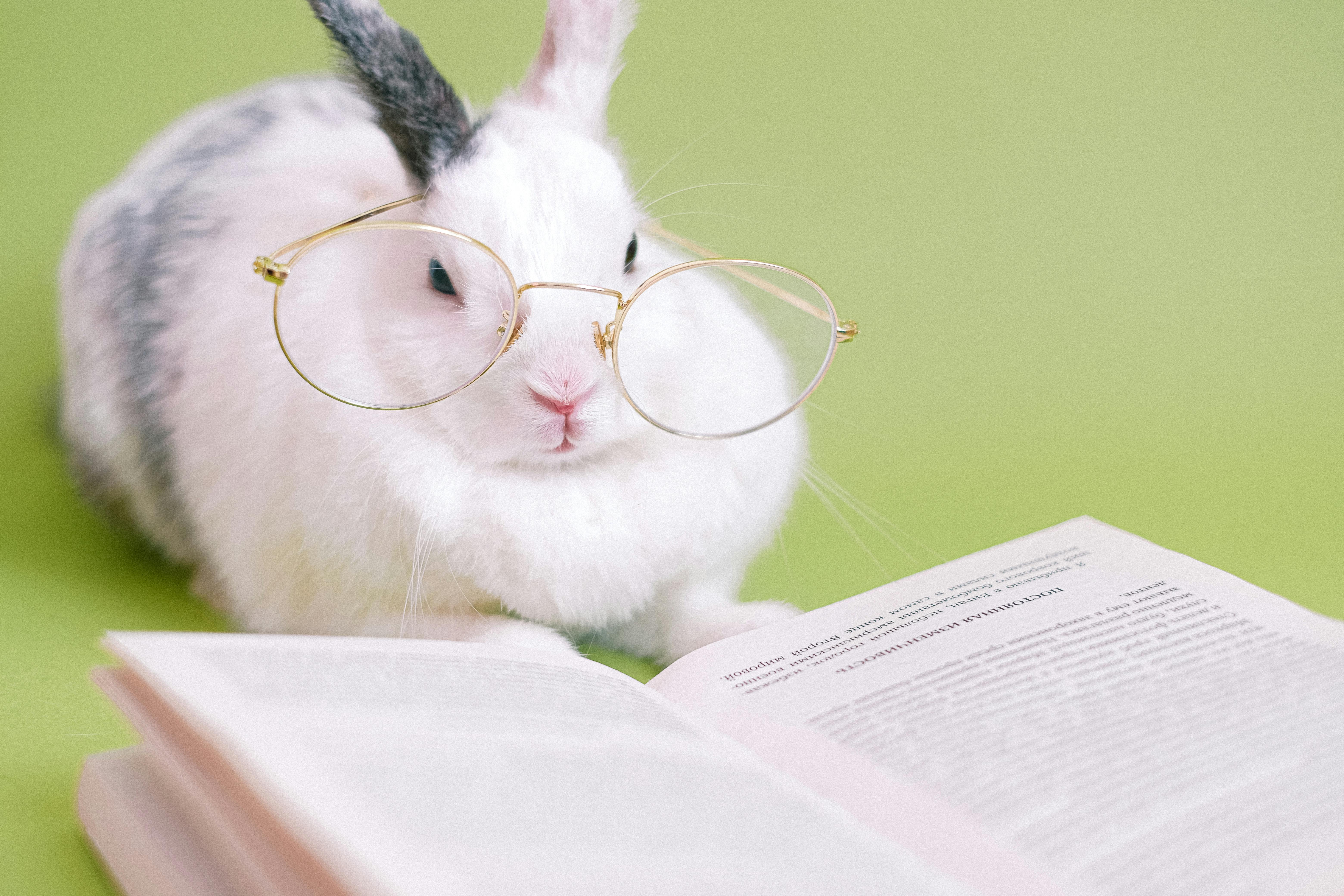 Smart Ways to Explore Hamsters in Nature: Find Out More in 2025
