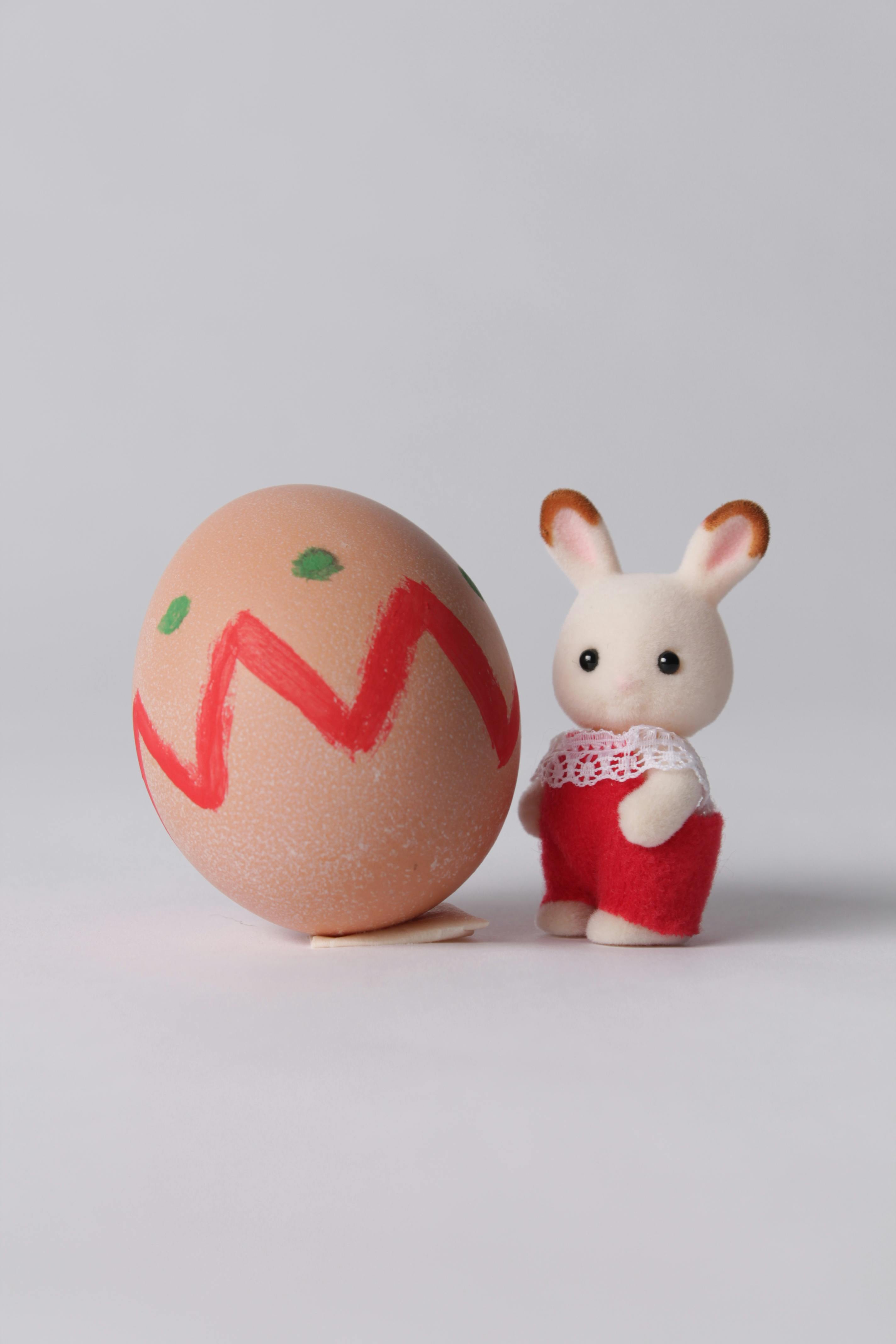 Top 5 Options for Finding a Hamster Vet in 2025