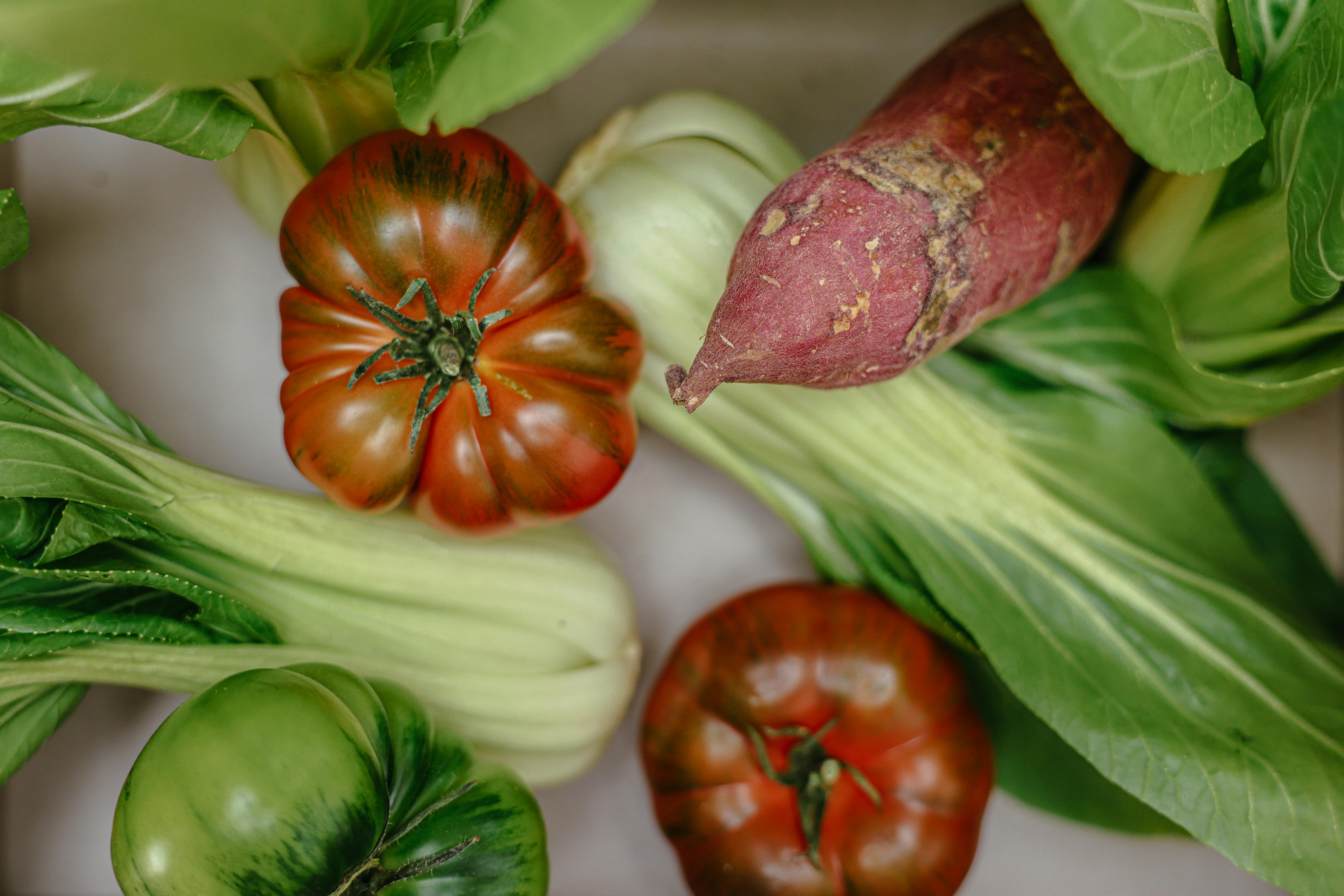 Healthy Guineas for Sale