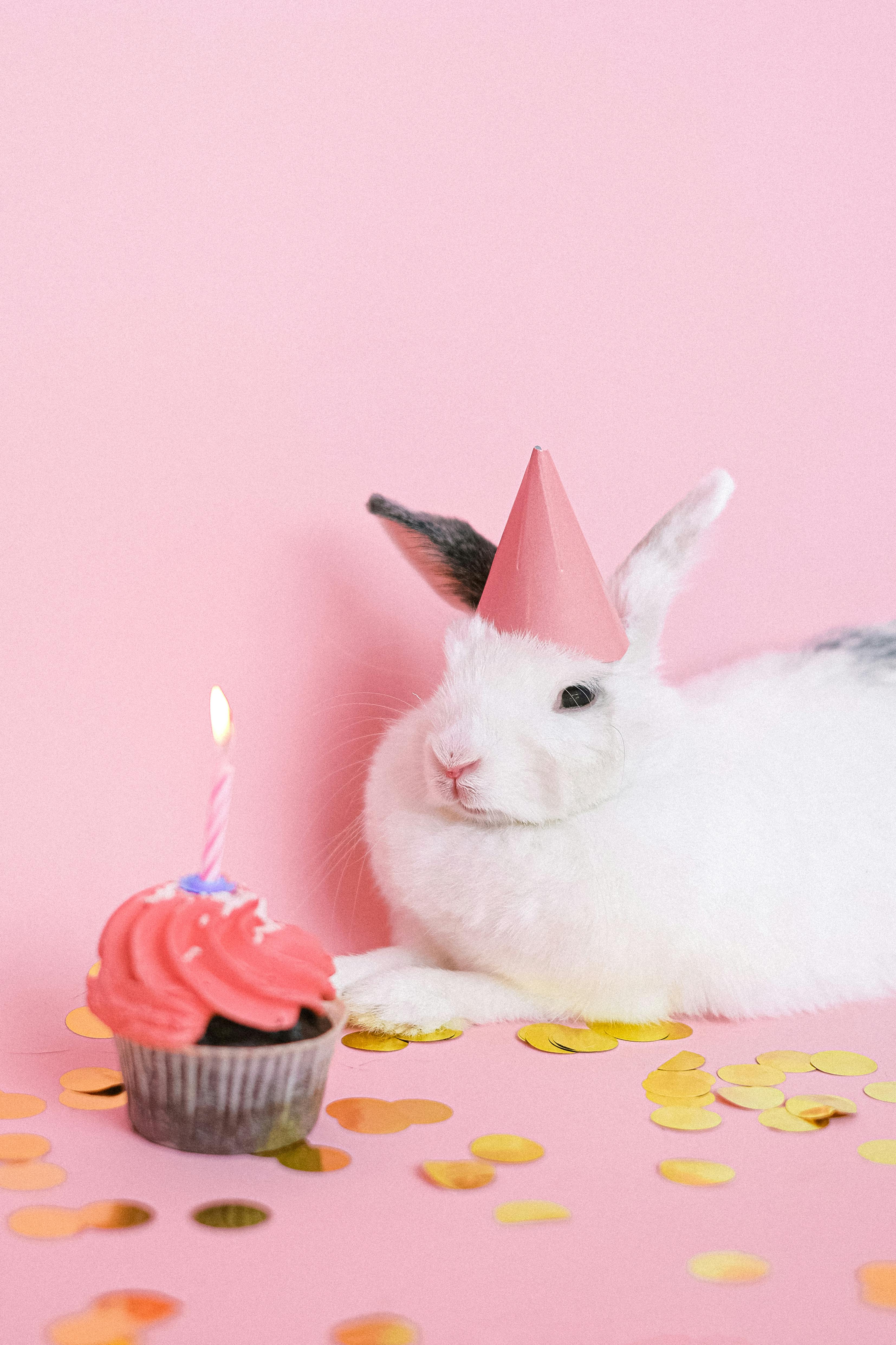Effective Ways to Cheer Up Your Sad Hamster and Boost Happiness in 2025