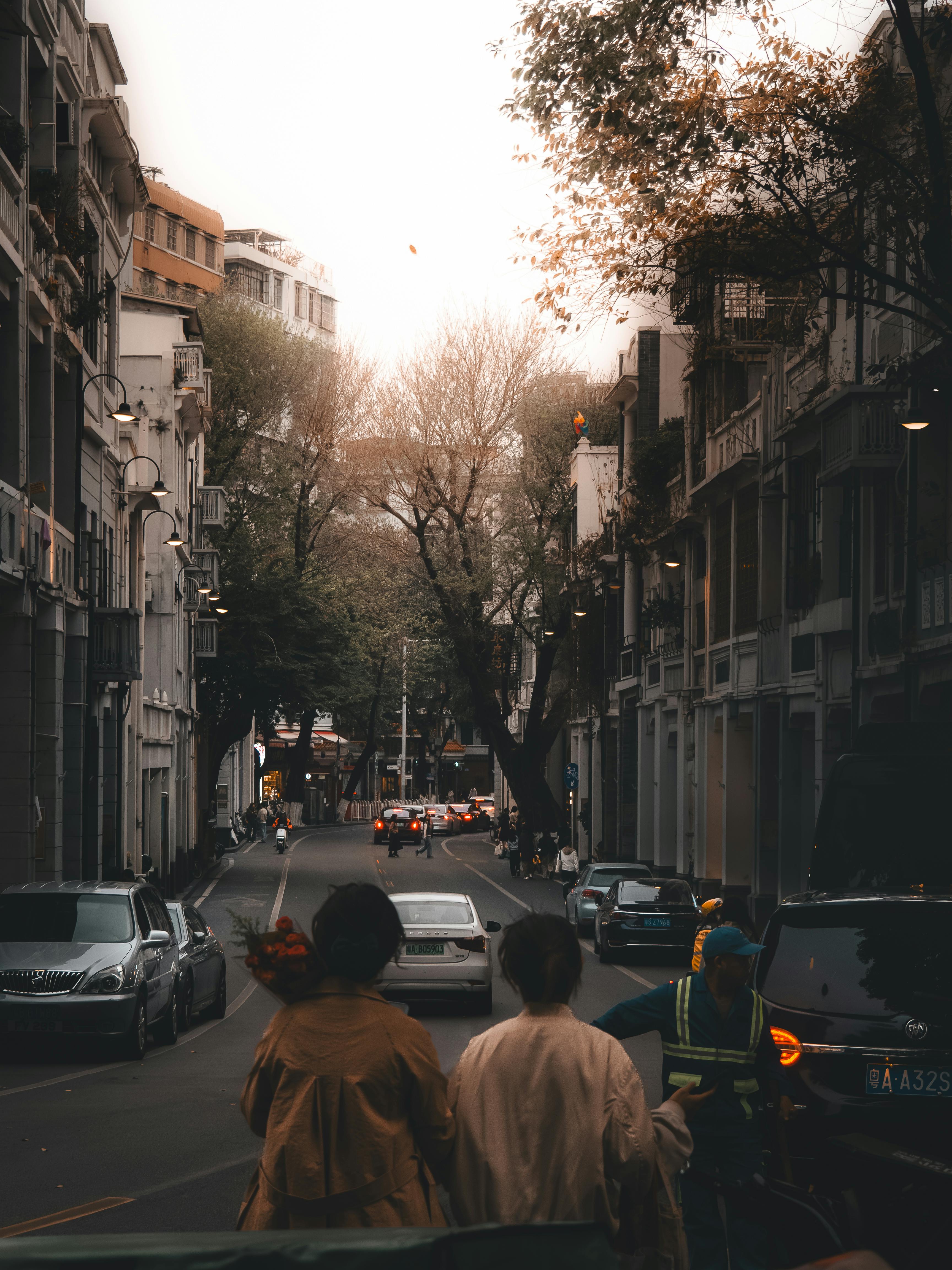 Smart Ways to Optimize Your Hamster Car Ad for 2025 Success