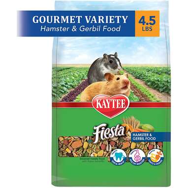 Top Hamster Food Options