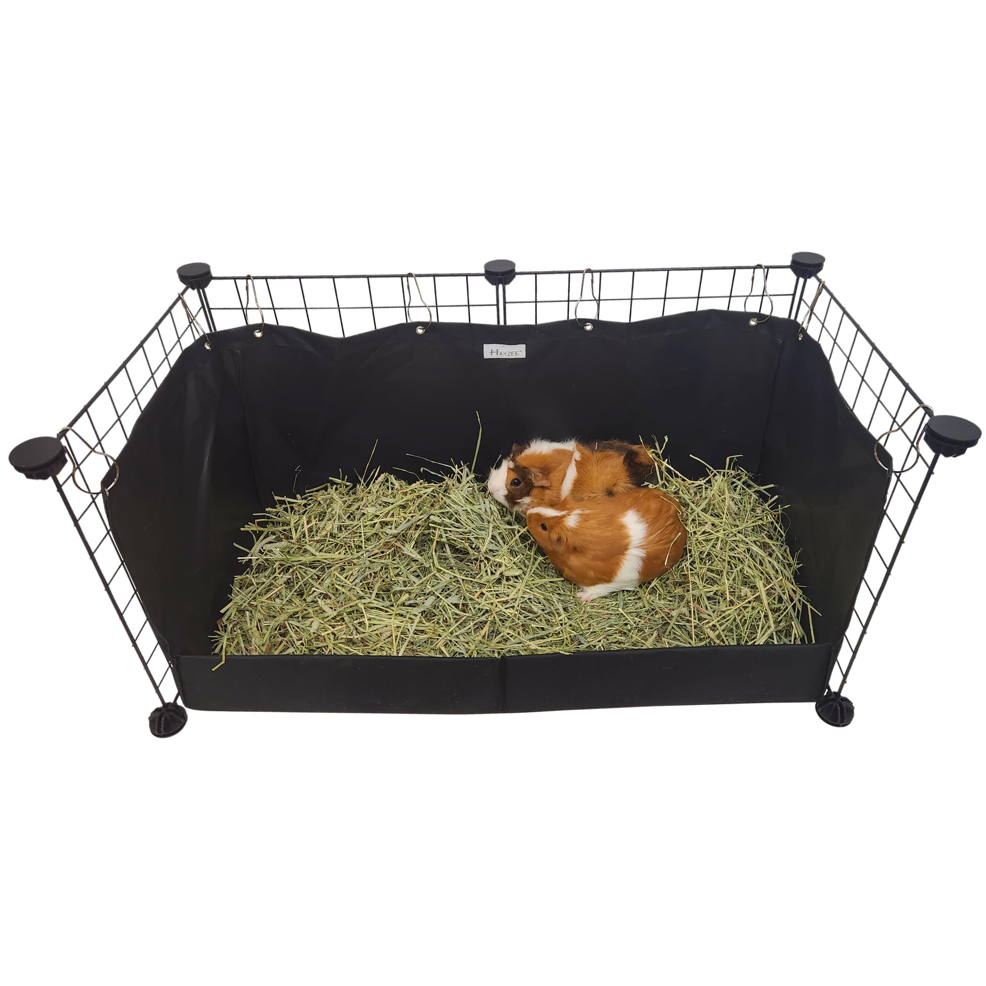 Fresh Guinea Pig Hay