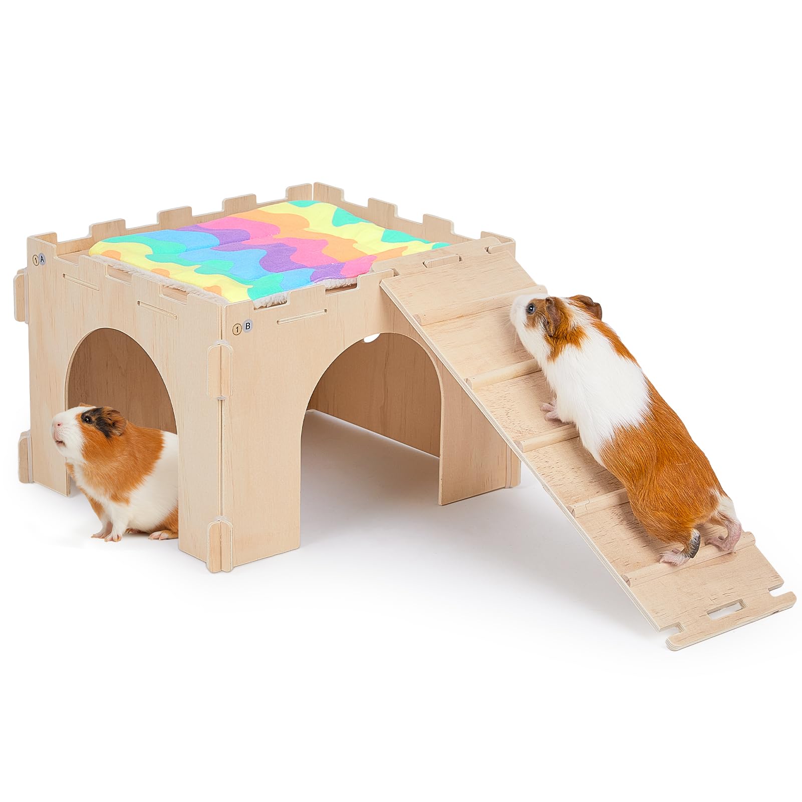 Interactive Guinea Pig Housing